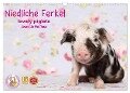 Niedliche Ferkel lovely piglets 2024 (Wandkalender 2024 DIN A3 quer), CALVENDO Monatskalender - Jeanette Hutfluss