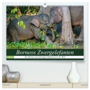 Borneos Zwergelefanten (hochwertiger Premium Wandkalender 2026 DIN A2 quer), Kunstdruck in Hochglanz - Arne Wünsche