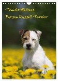 Tender Fellows - Parson Russell Terrier (Wandkalender 2024 DIN A4 hoch), CALVENDO Monatskalender - Maike Clüver