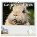 Kaninchen und Hasen (hochwertiger Premium Wandkalender 2024 DIN A2 quer), Kunstdruck in Hochglanz - Elisabeth Stanzer
