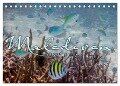 Unterwasserwelt der Malediven III (Tischkalender 2024 DIN A5 quer), CALVENDO Monatskalender - Clave Rodriguez Photography