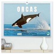 Orcas: Schwarz-weiße Giganten (hochwertiger Premium Wandkalender 2026 DIN A2 quer), Kunstdruck in Hochglanz - Calvendo Calvendo