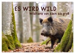 ES WIRD WILD Wildtiere von klein bis groß (Wandkalender 2025 DIN A3 quer), CALVENDO Monatskalender - Angela Merk