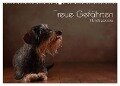 Treue Gefährten - Hundeportraits (Wandkalender 2024 DIN A2 quer), CALVENDO Monatskalender - Jana Behr