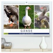Gänse. Von wegen dumme Gans! (hochwertiger Premium Wandkalender 2026 DIN A2 quer), Kunstdruck in Hochglanz - Rose Hurley