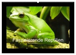 Faszinierende Reptilien (Wandkalender 2025 DIN A2 quer), CALVENDO Monatskalender - Sven Herkenrath