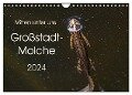 Mitten unter uns - Großstadt-Molche (Wandkalender 2024 DIN A4 quer), CALVENDO Monatskalender - Anne Wibke Hildebrandt