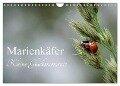 Marienkäfer - kleine Glücksmomente (Wandkalender 2024 DIN A4 quer), CALVENDO Monatskalender - Karin Dederichs