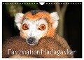 Faszination Madagaskar (Wandkalender 2024 DIN A4 quer), CALVENDO Monatskalender - Karsten-Thilo Raab