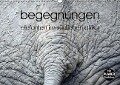 begegnungen - elefanten im südlichen afrika (Wandkalender immerwährend DIN A3 quer) - K. A. Rsiemer