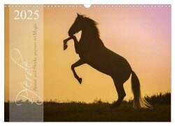 Pferde - Anmut und Stärke gepaart mit Magie (Wandkalender 2025 DIN A3 quer), CALVENDO Monatskalender - Sabrina Mischnik