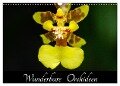 Wunderbare Orchideen (Wandkalender 2025 DIN A3 quer), CALVENDO Monatskalender - Jürgen Wöhlke