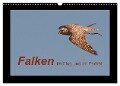 Falken im Flug und im Porträt (Wandkalender 2024 DIN A3 quer), CALVENDO Monatskalender - Karolina Gasteiger