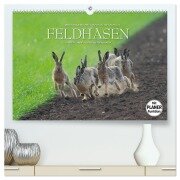 Emotionale Momente: Feldhasen (hochwertiger Premium Wandkalender 2025 DIN A2 quer), Kunstdruck in Hochglanz - Ingo Gerlach GDT