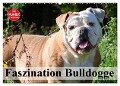Faszination Bulldogge (Wandkalender 2025 DIN A2 quer), CALVENDO Monatskalender - Elisabeth Stanzer