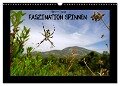 Faszination Spinnen (Wandkalender 2024 DIN A3 quer), CALVENDO Monatskalender - Benny Trapp