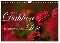 Dahlien in zauberhaftem Licht (Wandkalender 2024 DIN A4 quer), CALVENDO Monatskalender - Brigitte Stehle