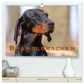 Brandlbracken (hochwertiger Premium Wandkalender 2025 DIN A2 quer), Kunstdruck in Hochglanz - Martina Berg