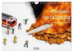 Mandelentzündung ... und andere Mini-Welten (Wandkalender 2026 DIN A4 quer), CALVENDO Monatskalender - Michael Bogumil