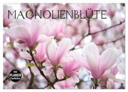 Magnolienblüte (Wandkalender 2025 DIN A2 quer), CALVENDO Monatskalender - Gisela Kruse