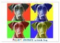 PopArt Animals (Wandkalender 2024 DIN A3 quer), CALVENDO Monatskalender - Nicole Zeug
