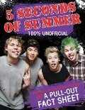5 Seconds of Summer: 100% Unofficial [With Poster] - Imogen Williams