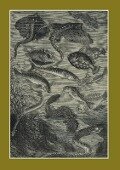 Carnet Blanc: Vingt Mille Lieues Sous Les Mers, Jules Verne, 1871: Le Fleuve Noir - 