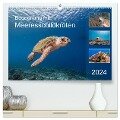 Begegnung mit Meeresschildkröten (hochwertiger Premium Wandkalender 2024 DIN A2 quer), Kunstdruck in Hochglanz - Yvonne Tilo Kühnast - naturepics