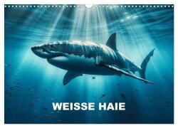 Weiße Haie (Wandkalender 2025 DIN A3 quer), CALVENDO Monatskalender - Peter R. Stuhlmann