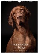 Magyar Vizsla im Portrait (Wandkalender 2026 DIN A3 hoch), CALVENDO Monatskalender - Susanne Stark Sugarsweet - Photo