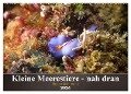 Kleine Meerestiere - nah dran (Wandkalender 2024 DIN A2 quer), CALVENDO Monatskalender - Bianca Schumann