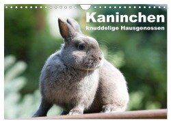 Kaninchen - knuddelige Hausgenossen (Wandkalender 2025 DIN A4 quer), CALVENDO Monatskalender - Fotodesign Verena Scholze
