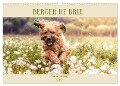 Berger de Brie - Fellnase mit Herz (Wandkalender 2024 DIN A3 quer), CALVENDO Monatskalender - Sonja Teßen
