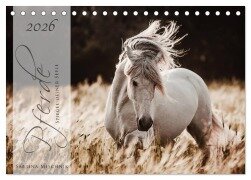 Pferde - Spiegel deiner Seele (Tischkalender 2026 DIN A5 quer), CALVENDO Monatskalender - Sabrina Mischnik