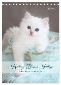 Heilige Birma Kitten - süße kleine Flauschbällchen (Tischkalender 2025 DIN A5 hoch), CALVENDO Monatskalender - Michaela Thoms