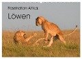 Faszination Afrika: Löwen (Wandkalender 2024 DIN A2 quer), CALVENDO Monatskalender - Elmar Weiss