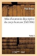 Atlas d'Anatomie Descriptive Du Corps Humain. Partie 3 - Paul Broca, Constantin-Louis Bonamy