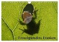 Froschparadies Franken (Wandkalender 2024 DIN A4 quer), CALVENDO Monatskalender - Günter Bachmeier