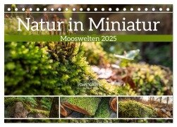 Natur in Miniatur - Mooswelten (Tischkalender 2025 DIN A5 quer), CALVENDO Monatskalender - Kevin Walther