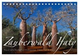 Zauberwald Ifaty · Traumhafte Baobabs in Madagaskar (Tischkalender 2026 DIN A5 quer), CALVENDO Monatskalender - Olaf Bruhn