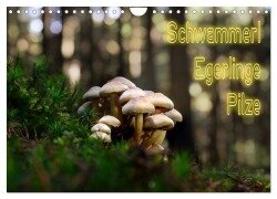 Schwammerl Egerlinge Pilze (Wandkalender 2025 DIN A4 quer), CALVENDO Monatskalender - Birte Zabel