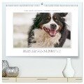 Emotionale Momente: Berner Sennenhund. (hochwertiger Premium Wandkalender 2024 DIN A2 quer), Kunstdruck in Hochglanz - Ingo Gerlach GDT