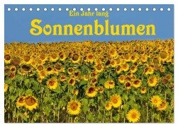 Ein Jahr lang Sonnenblumen (Tischkalender 2025 DIN A5 quer), CALVENDO Monatskalender - Anke van Wyk - www. germanpix. net