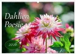 Dahlien Poesie (Wandkalender 2026 DIN A2 quer), CALVENDO Monatskalender - Rainer Plett