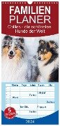 Familienplaner 2024 - Collies - die schönsten Hunde der Welt mit 5 Spalten (Wandkalender, 21 x 45 cm) CALVENDO - Sigrid Starick