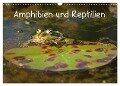 Amphibien und Reptilien (Wandkalender 2024 DIN A3 quer), CALVENDO Monatskalender - Christine Schmutzler-Schaub