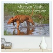 Cover-Bild zum Titel 'Magyar Vizsla - pure Lebensfreude (hochwertiger Premium Wandkalender 2026 DIN A2 quer), Kunstdruck in Hochglanz' von 'Barbara Mielewczyk'