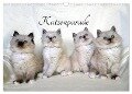 Katzenparade (Wandkalender 2024 DIN A3 quer), CALVENDO Monatskalender - Jennifer Chrystal