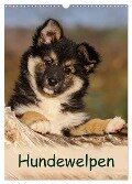 Hundewelpen (Wandkalender 2024 DIN A3 hoch), CALVENDO Monatskalender - Katho Menden