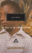 Cover-Bild zum Titel 'Go Tell It on the Mountain' von 'James Baldwin'